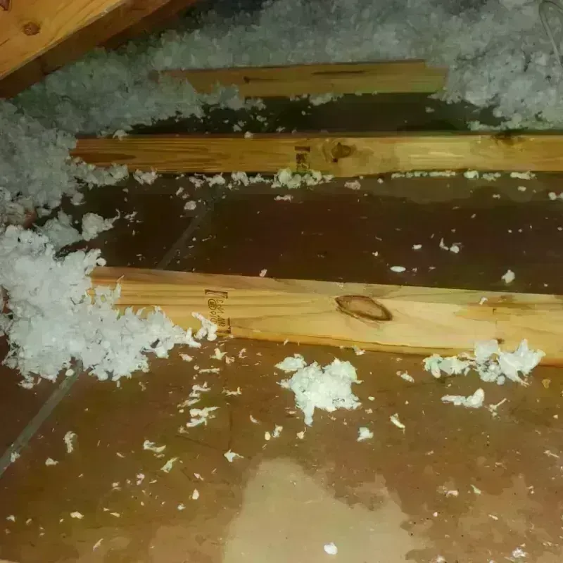 Attic Water Damage in Grant County, SD