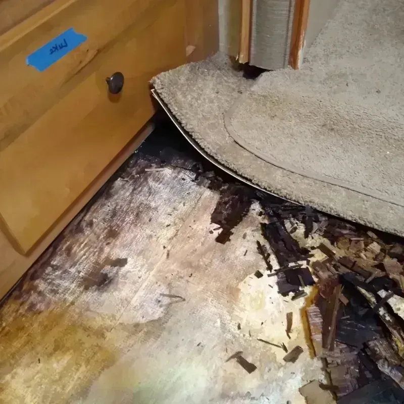 Wood Floor Water Damage in Grant County, SD